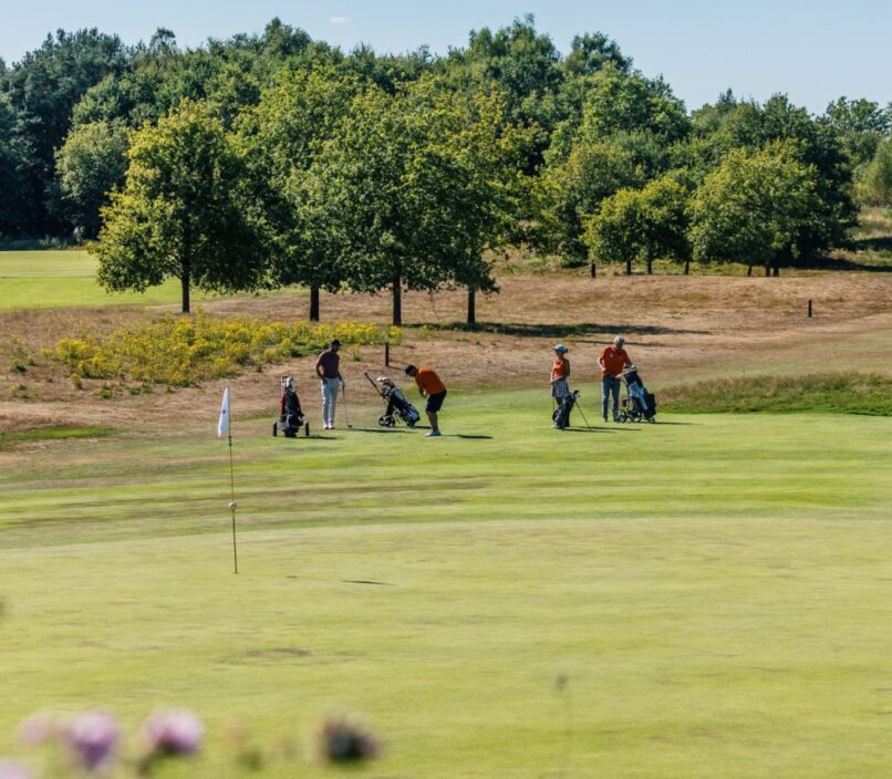 golfen in Drenthe